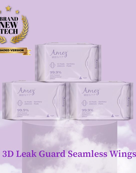 3 packs Amez Care Night [3D Leak Guard Seamless Wings]