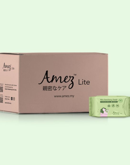 1 Carton Amez Lite Pantyliner